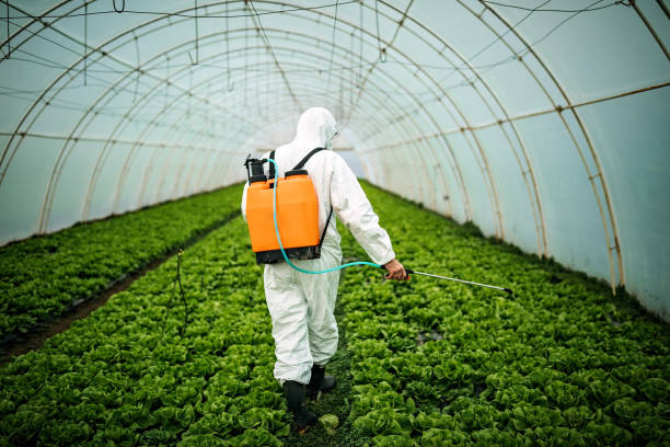 Best Affordable Pest Control Services  in South Toms River, NJ