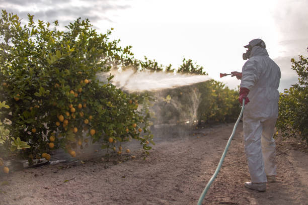 South Toms River, NJ Pest Control Company