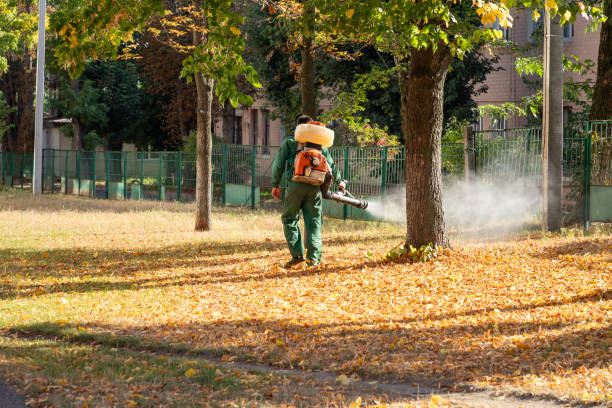 Best Pest Control Near Me in South Toms River, NJ