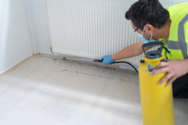 Best Pest Removal Services  in South Toms River, NJ