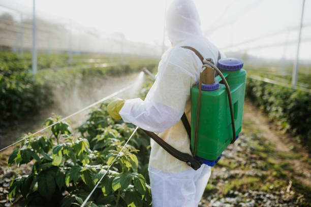 Best Affordable Pest Control Services  in South Toms River, NJ